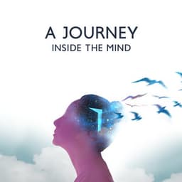 A Journey Inside The Mind - 7 Types Of Spirits