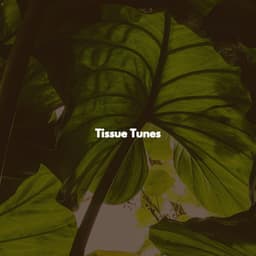Tissue Tunes - Groovy Cafe Music Playlisted