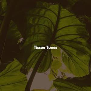Tissue Tunes - Groovy Cafe Music Playlisted