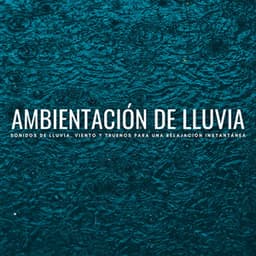 Ambientación De Lluvia: Sonidos De Lluvia, Viento Y Truenos Para Una Relajación Instantánea - Registradores de lluvia