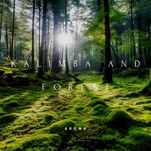 Kalimba and Forest: A Meditative Sound Journey - Spring Aroma