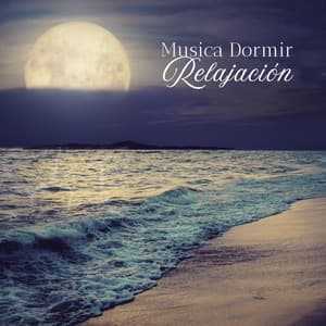 Musica Dormir Relajación - Lluvia Del Bosque