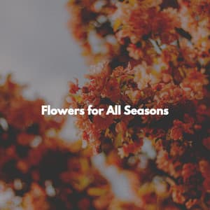 Flowers for All Seasons - Chill Vibes