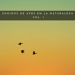 Sonidos De Aves En La Naturaleza Vol. 1 - #Relajante