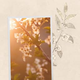 Music for Summer Keytones - Happy Instrumental Music