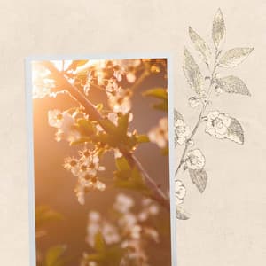 Music for Summer Keytones - Happy Instrumental Music