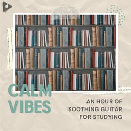 An Hour of Soothing Guitar for Studying - Calm Vibes
