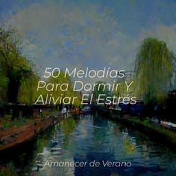 50 Melodías Para Dormir Y Aliviar El Estrés - Children's Music