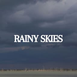 Rainy Skies - Rain Sounds & White Noise