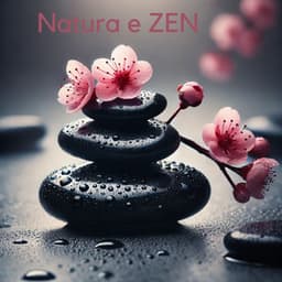 Natura e ZEN - Musica Relax Academia