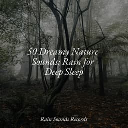 50 Dreamy Nature Sounds: Rain for Deep Sleep - Instrumental