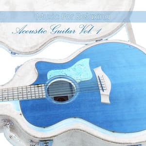 Acoustic Guitar, Vol. 1 - Music for Relaxing