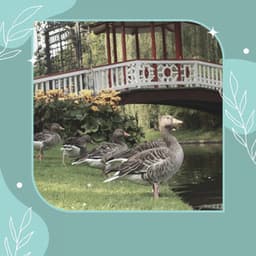 Uplifting - Spa Days at Home - Spa Music Hour