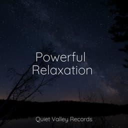 Powerful Relaxation - Fabricantes De Lluvia