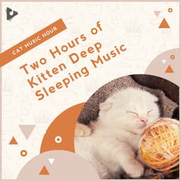 2 Hours of Kitten Deep Sleeping Music - Cat Music Hour