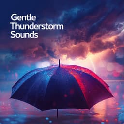 Gentle Thunderstorm Sounds - Thunderstorms