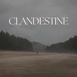 Clandestine - Soothing Music