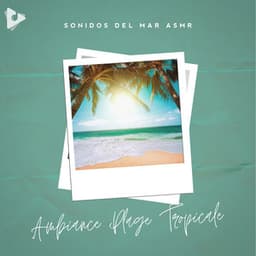 Ambiance Plage Tropicale - Sonidos Del Mar ASMR