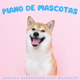 Piano De Mascotas: Abrazos Armoniosos Para Mascotas - Animales de piano