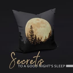 Secrets to a Good Night's Sleep: Serenity Spa Therapy, Zen Relaxation, Massage, Calming Yoga - Natural New Age Maker!