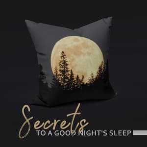Secrets to a Good Night's Sleep: Serenity Spa Therapy, Zen Relaxation, Massage, Calming Yoga - Natural New Age Maker!