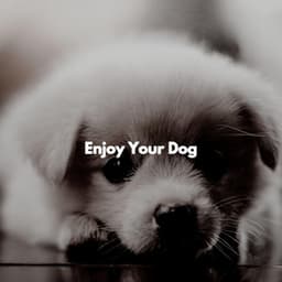 Enjoy Your Dog - Jazz for Working