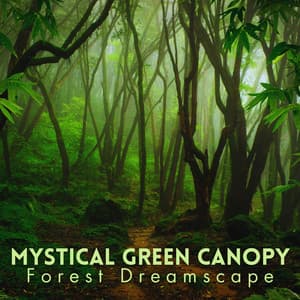 Mystical Green Canopy: Forest Dreamscape - Forest Sounds FX