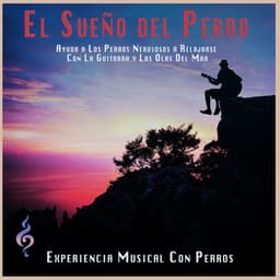 El Sueño del Perro: Ayuda a Los Perros Nerviosos a Relajarse Con La Guitarra y Las Olas Del Mar - Experiencia Musical Con Perros