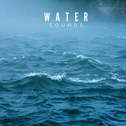 Water Sounds: The Best Natural Relaxers - Water Sounds Music Zone