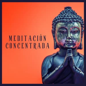Meditación Concentrada: Sonidos de Descanso para Relajación y Paz Interior - Musica para Meditar Especialistas
