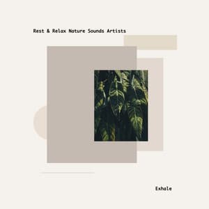 Exhale - Rest & Relax Nature Sounds Artists