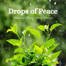 Drops of Peace: Relaxing Music Rainy Retreat - Dark Music Specialists