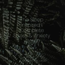 The Sleep Inspired | Complete Stress & Anxiety Relief - Schlaflieder Für Kinder