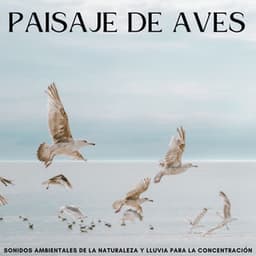 Paisaje De Aves: Sonidos Ambientales De La Naturaleza Y Lluvia Para La Concentración - Lluvia Instantánea