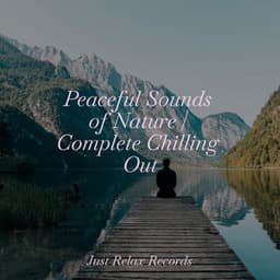 Peaceful Sounds of Nature | Complete Chilling Out - Nature Sound Collection