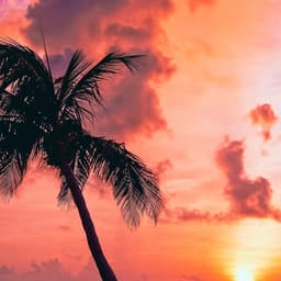 12AM Coastal:Whispering Winds - Ocean Sounds