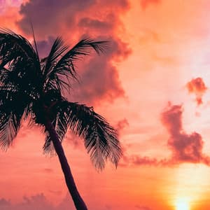 12AM Coastal:Whispering Winds - Ocean Sounds