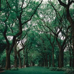 Relaxing and pleasant melodies for deep sleep - Soothing Relaxation