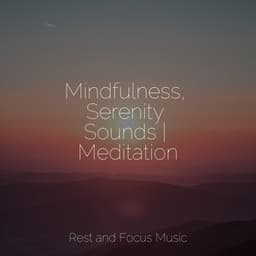 Mindfulness, Serenity Sounds | Meditation - Deep Focus