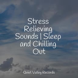 Stress Relieving Sounds | Sleep and Chilling Out - Yoga Para Ninos