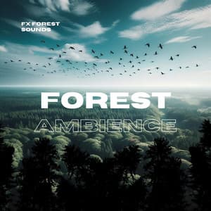 Forest Ambience: Nature Sounds for Deep Sleep, Relaxation - FX Forest Sounds