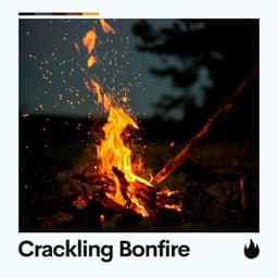 Crackling Bonfire - Fireplace FX Studio
