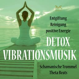 Detox Vibrationsmusik: Entgiftung, Reinigung, Positive Energie - Torsten Abrolat