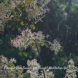Peaceful Rain Sounds for Insight Meditation Vol. 1 - Rain Sound Experience