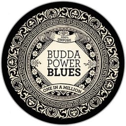 One in a Million - Budda Power Blues