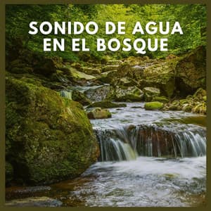 Sonido de Agua en el Bosque - Sonidos De Agua