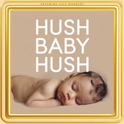 Hush Baby Hush - Dreaming Lulu Wonders