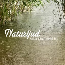 Naturljud att somna till - Naturljud