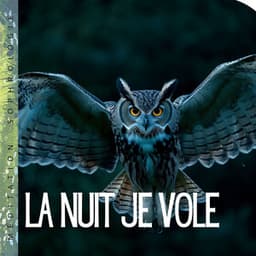 La nuit je vole - Méditation Sophrologie
