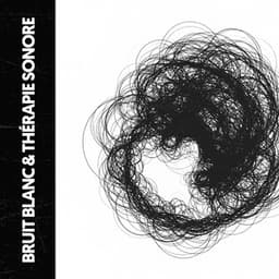 Bruit Blanc & Sonothérapie : Vide Stéréo - The White Noise Travelers